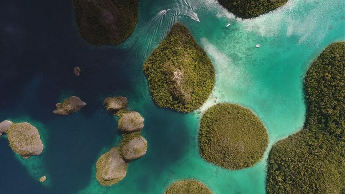 Ini Dia Alasan Kenapa Raja Ampat Perlu Dikunjungi pada 2025