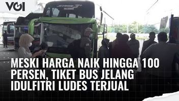 VIDEO: Meski Harga Naik Hingga 100 Persen, Tiket Bus Jelang Idul fitri Ludes Terjual