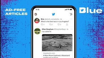 Blue Twitter Customers No Longer Can Access Ad-Free Issues