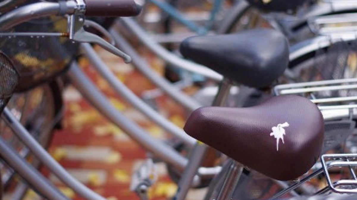فضلات الطيور وهمية للابتكار في اليابان للحد من سرقة الدراجات