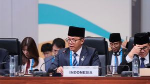 Indonesia-Thailand Gelar JCM ke-10, Menlu Sugiono: Fondasi Baru Bagi Hubungan yang Lebih Kokoh dan Strategis