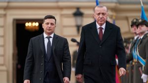 Telepon Presiden Zelensky: Presiden Erdogan Bahas Perang Rusia Ukraina, Sebut Referendum Sepihak Sulitkan Diplomasi