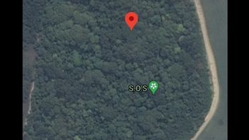 SOS Sign Appears On Male Island, Thousand Islands, Police Will Clarify Google