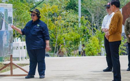 Pemerintah Bangun Hutan Hujan Tropis Alami di IKN