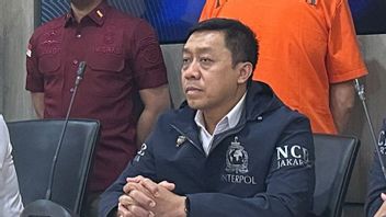 Interpol Terbitkan Red Notice Riza Chalid