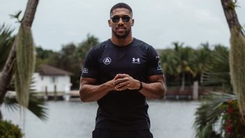 アンソニー・ジョシュア、モーゼス・イタウマかファビオ・ワードリーと戦うよう命じられる