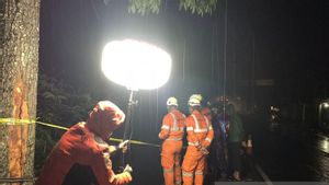 Bus Pariwisata Masuk Jurang di Tasikmalaya, Tim SAR Cari 1 Penumpang yang Dilaporkan Hilang