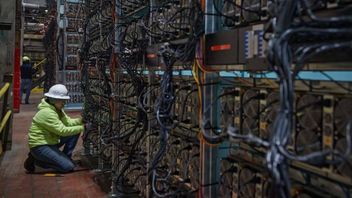 Bitcoin Mining Giant Iris Energy Acquires Bitmain's Latest Rig