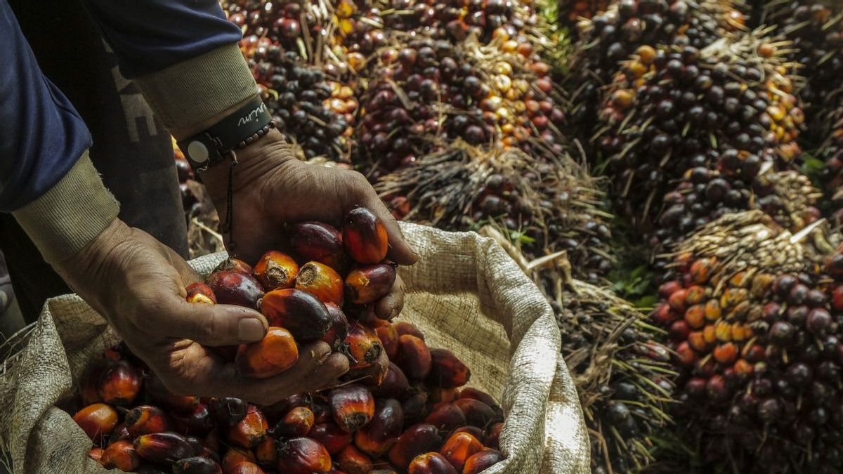 Proven Wanprestasi, East Jakarta District Court Kabulkan Sumbatan Supply CPO Ke Perusahaan Agribusiness Astra Senilai Rp56 M