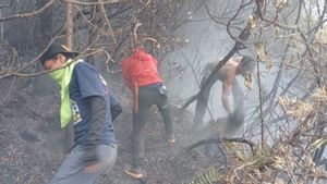 Tim Gabungan Diturunkan ke Gunung Gede Antisipasi Kebakaran Meluas