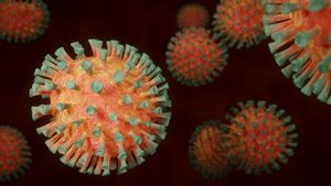 Meski Indonesia Alami Perbaikan di Tengah Pandemi COVID-19, Epidemiolog:  Bukan Berarti Dapat Lakukan Banyak Pelonggaran