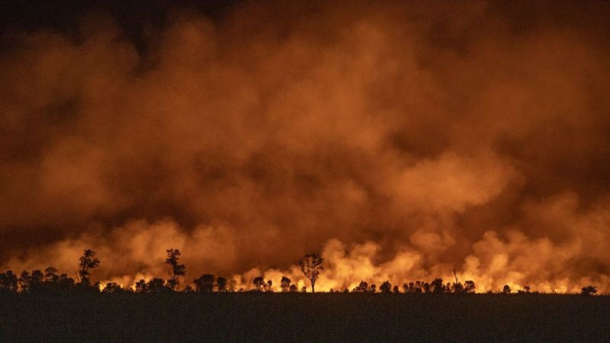 Coordinating Minister For Political, Legal And Security Affairs Asks The Tangkas Regional Government To Overcome Forest And Land Fires, Especially The South Sumatra Provincial Government