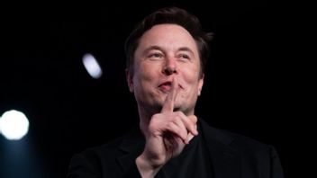 Elon Musk: Bitcoin Adalah Hal yang Baik dan Saya Pendukungnya