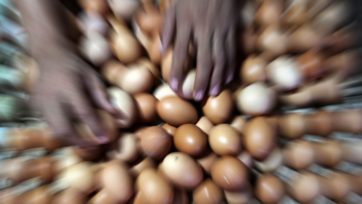Jaga Keseimbangan Harga Telur Ayam, Ini Langkah yang Dilakukan Badan Pangan