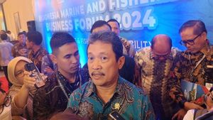 Pulau Enggano Terisolasi, KKP Siapkan Solusi Lewat Kampung Nelayan