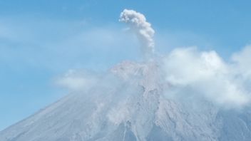 Mount Semeru Erupts, People Asked to Beware of Volcano-Pyroclastic Flow