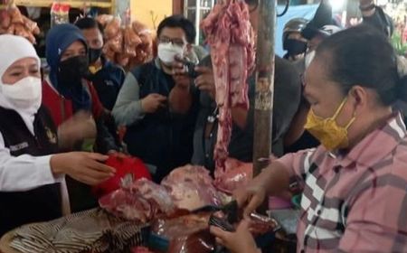 Populasi Sapi Potong Melimpah, Gubernur Khofifah Larang Impor Daging Masuk Jatim