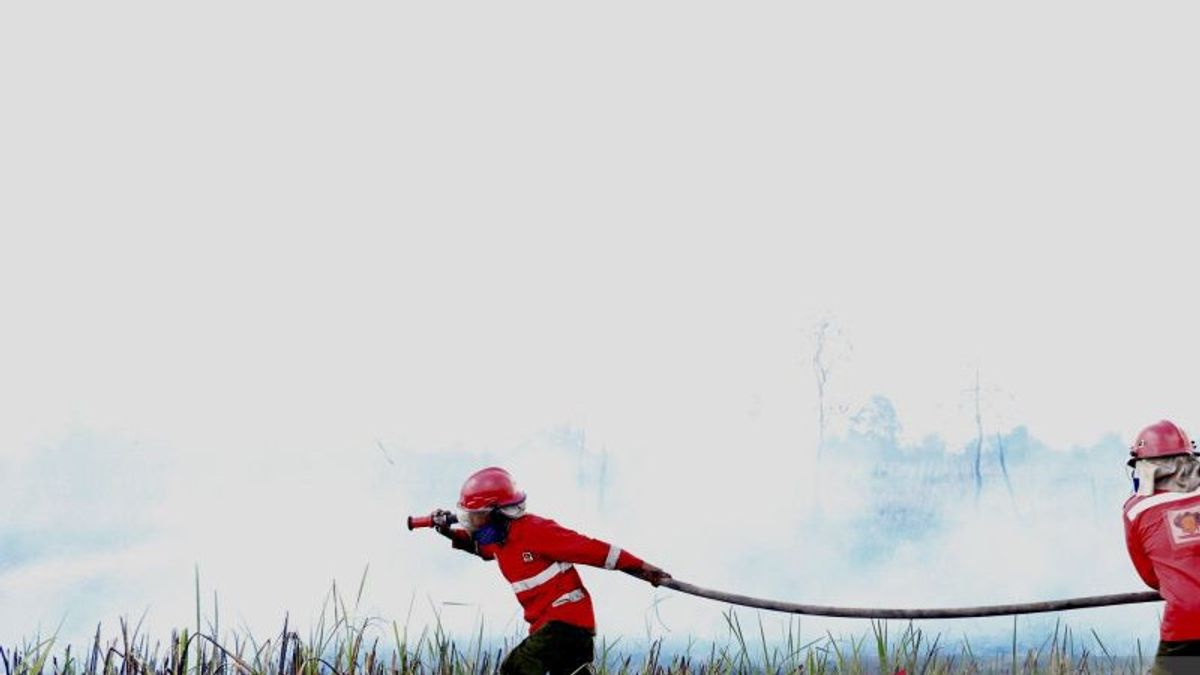 Water Restrictions, Forest And Land Fires In South Kalimantan Are Extinguished Using Detergen Mixture