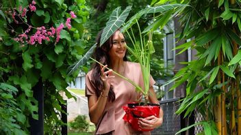 Gardening Hobby, Peek At 10 Plant Collections Of Nadine Chandrawinata