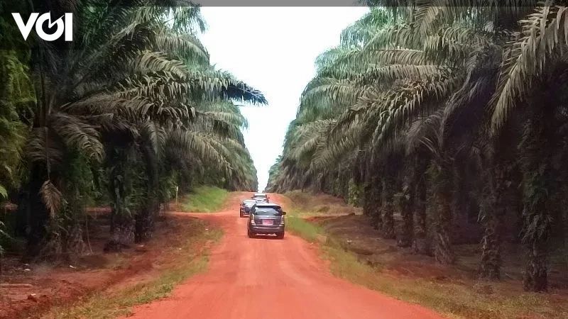 Peredaran Narkoba Di Kalteng Mulai Masuk Pertambangan Dan Perkebunan ...