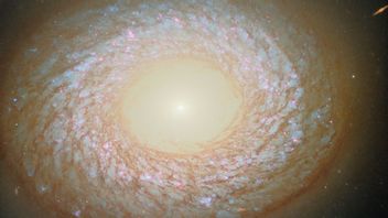 哈勃望远镜分享NGC 2775的肖像，最令人困惑的星系