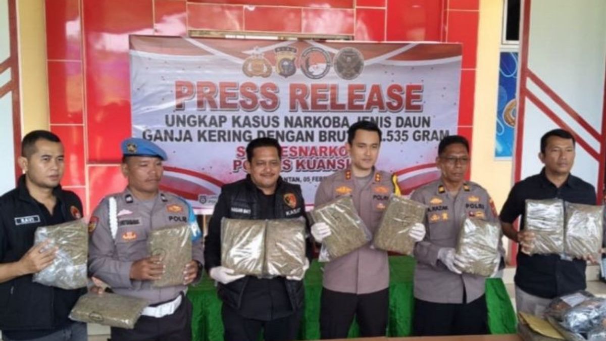 Sibak Jaringan Lintas Kota, Polres Kuansing Riau Sita 22,5 Kg Ganja Kering Dalam 21 Paket 