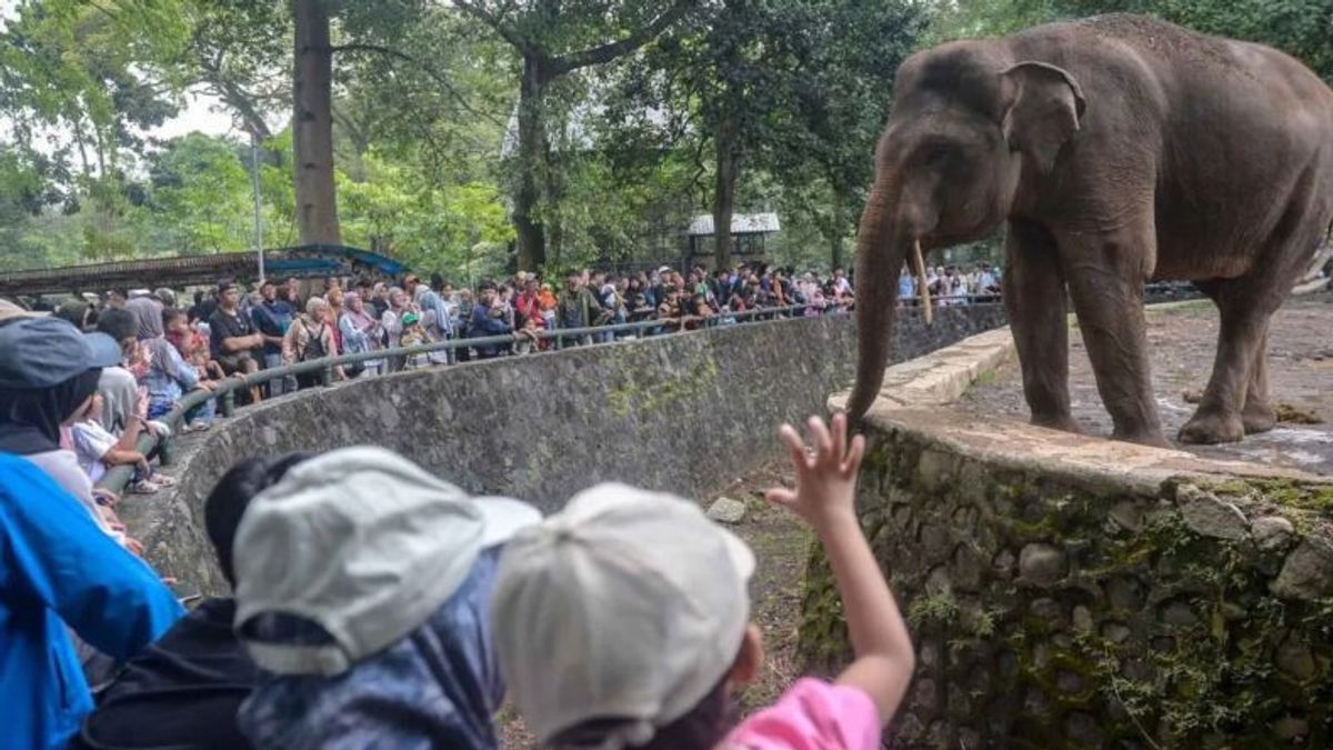80 Thousand Tourists Fill Ragunan H+2 Lebaran
