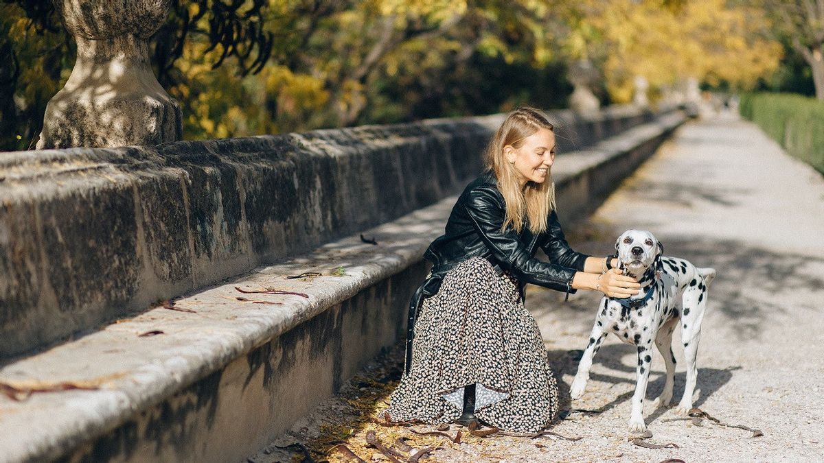 Peneliti Hongaria Ungkap Anjing Ternyata Mampu Membedakan Bahasa Manusia