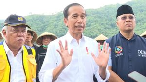 Resmikan Bendungan Beringin Sila di Sumbawa, Jokowi Harap Produktivitas Padi di NTB Naik Drastis