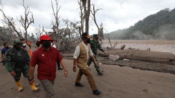 BNPB ينسق مع وزارة PUPR لاستعادة تأثير ثوران جبل سيميرو