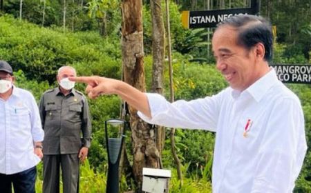 Presiden Jokowi Tawarkan Microsoft Bangun Pusat Riset di IKN