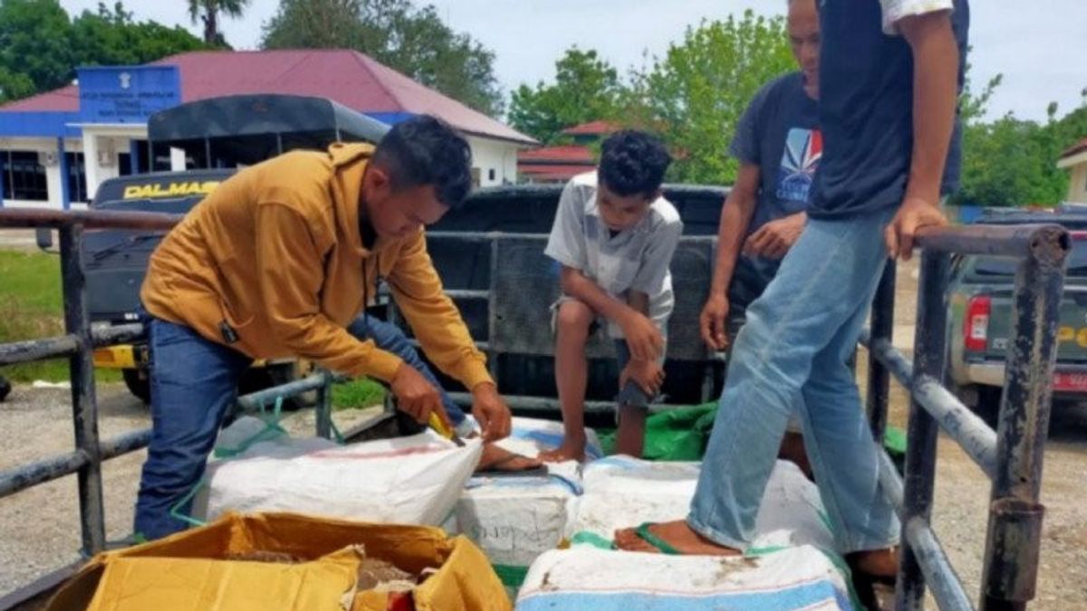 Ministry Of Environment And Forestry Confiscated 300 Kilograms Of Illegal Deer Meat In Labuan Bajo