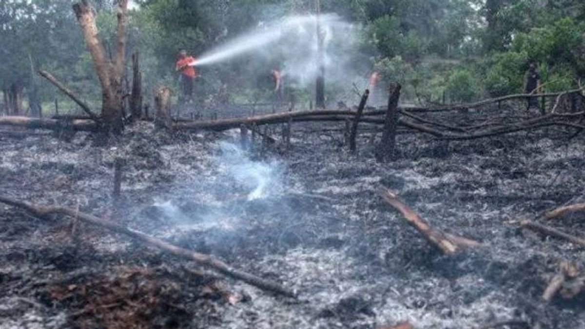 Prediksi Musim Kemarau Kering, Pemprov Sumbar Antisipasi Kebakaran Hutan
