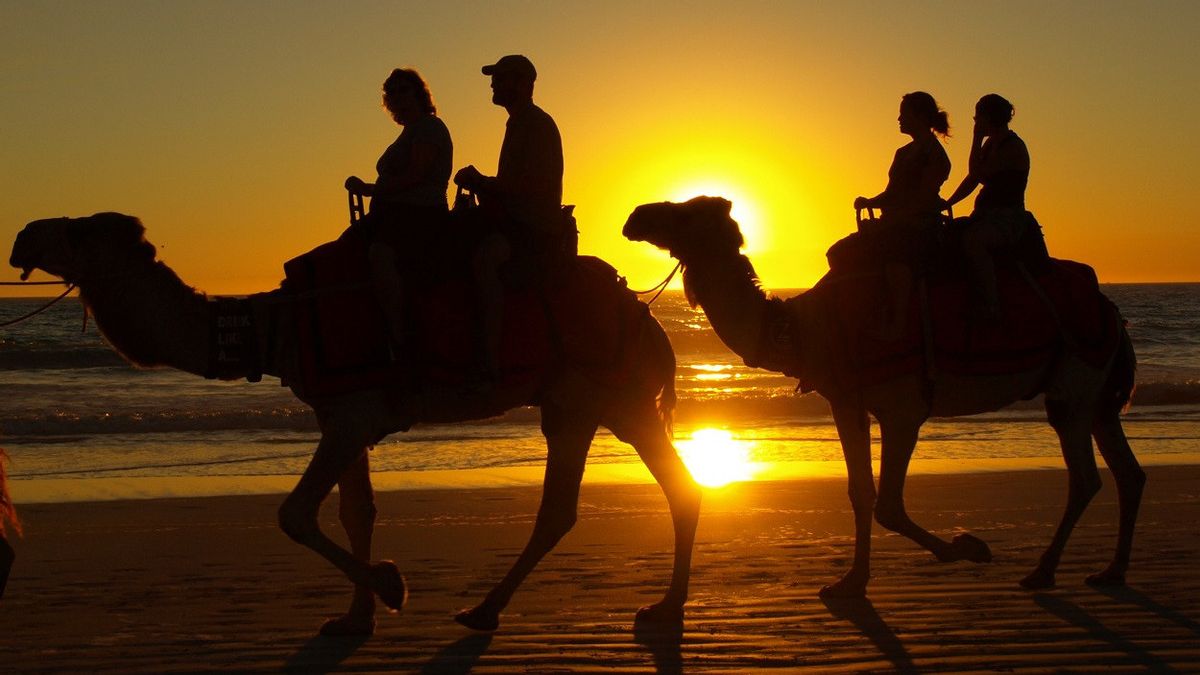 沙特阿拉伯推出世界上第一家骆驼酒店：拥有120间服务齐全的客房 