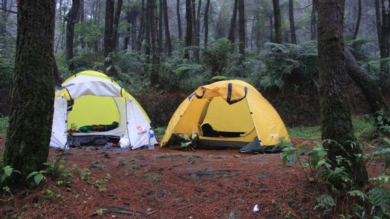 Review Of The Sand Camping Ground Reungit Route Of Ratu Gunung Salak Crater Climbing: Comfortable And Strategic