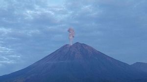 Gunung Semeru Erupsi dengan Letusan Kolom Abu Setinggi 1 Km