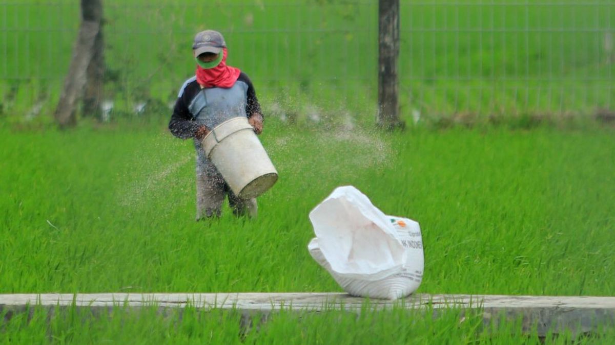 Fertilizer Kujang Boosts Production To Support Government Policy On Subsidized Quota And Fertilizer For Farmers