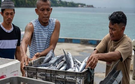 Brida dan Pemkab Ciptakan Aplikasi Penunjang Perikanan Tangkap