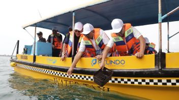    Dishub Bali Bakal Uji Coba Taksi Laut