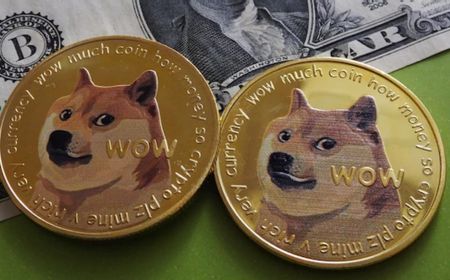 Teka-Teki Pemilik Address Wallet DH5ya Punya 36,7 Miliar DOGE