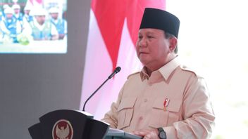 Survei Kepuasan Publik Capai 80,9%, Prabowo: Tak Ada Tanggal Merah di Kalender Kabinet