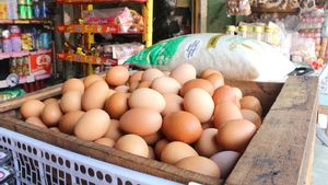 5 Tips To Be A Dispositor Of Chicken Eggs, Only Need Capital Of IDR 500,000 To A Million