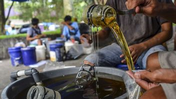 Deretan Bohir Besar Sawit RI dan Paling Licin di Urusan Minyak Goreng, Ada Konglomerat Anthony Salim, Martua Sitorus, hingga Sukanto Tanoto