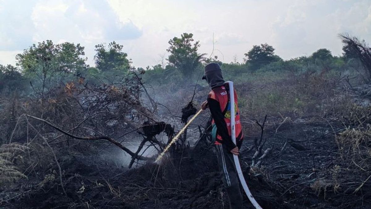 KLHK Minta Korporasi Cegah Karhutla