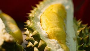 Ternyata Buah Durian untuk Ibu Hamil Banyak Manfaatnya