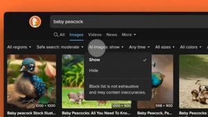 Browser DuckDuckGo Bikin Fitur untuk Sembunyikan Gambar Buatan AI
