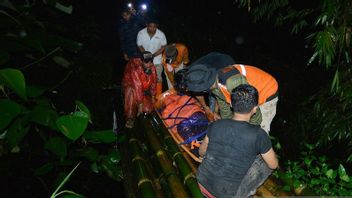 Une équipe conjointe est toujours à la recherche de 26 escaliers sur le mont Merapi après la perte d’alerte