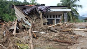 Setelah Tahap Rehabilitasi, Mensos Janjikan Huntara untuk Korban Bencana Sumatera