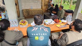    Kemenhut Gandeng Vantara India Cegah Kematian Gajah Akibat EEHV