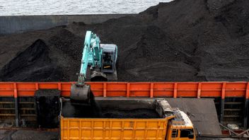 Segini Harga Batu Bara Acuan Periode Pertama Bulan Mei 2025